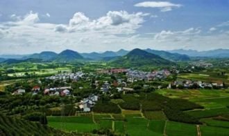 最早启动美丽乡村建设的是