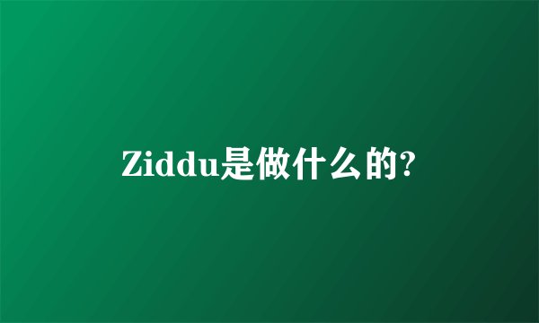 Ziddu是做什么的?