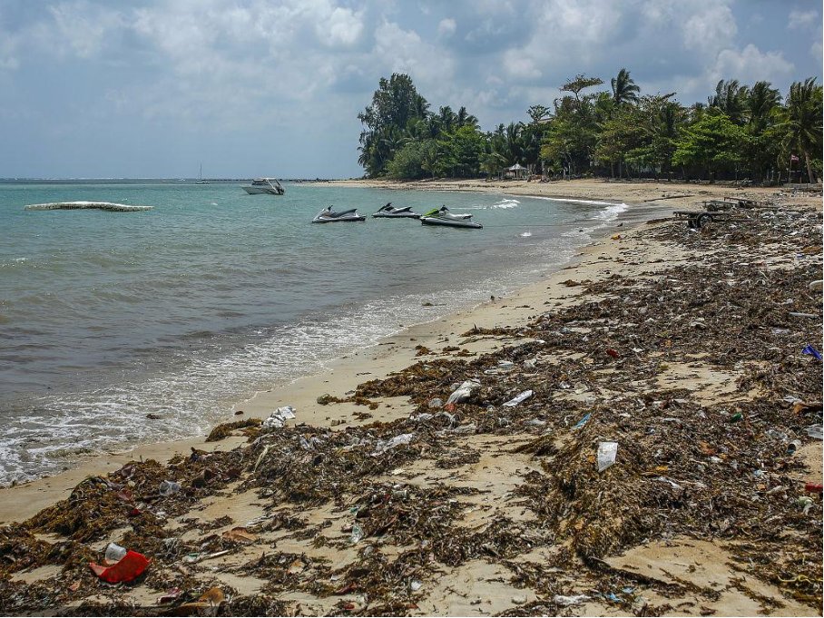 为什么大家都不愿意去泰国旅游了