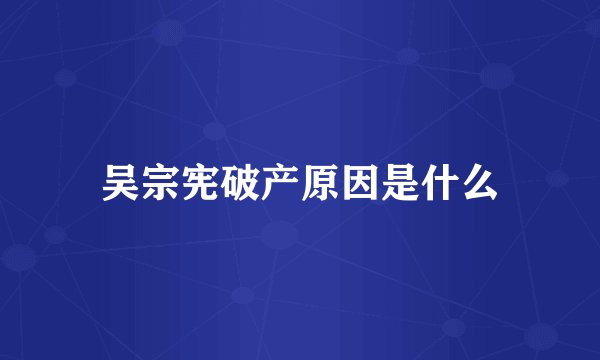 吴宗宪破产原因是什么