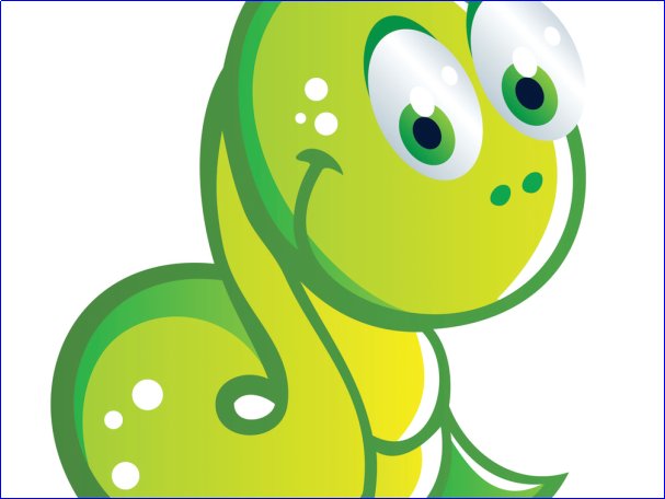 臭名昭著形容什么动物