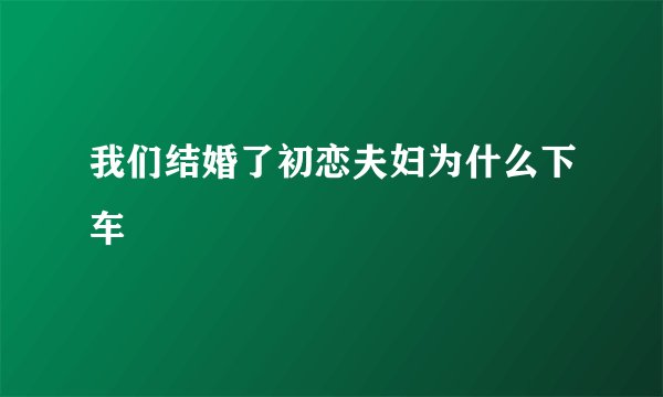 我们结婚了初恋夫妇为什么下车