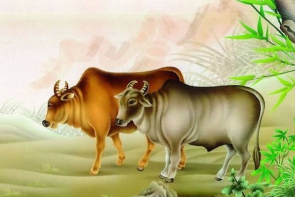 12生肖谁是学渣