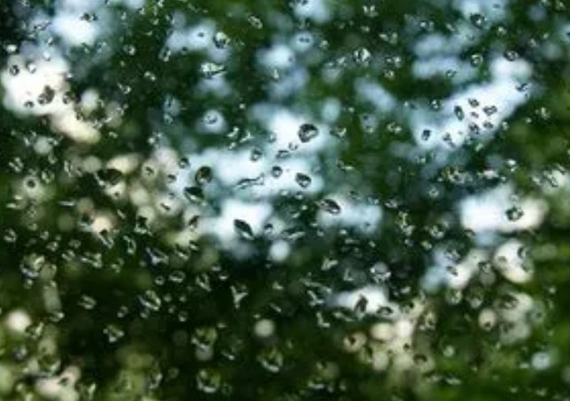 有关雨的诗句古诗