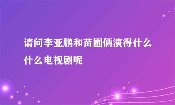 请问李亚鹏和苗圃俩演得什么什么电视剧呢