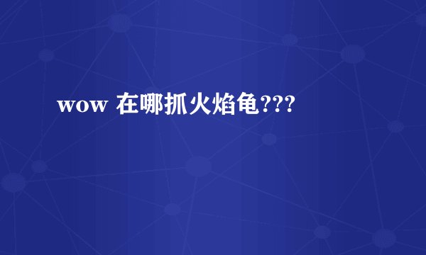 wow 在哪抓火焰龟???