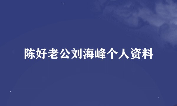 陈好老公刘海峰个人资料