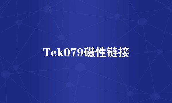 Tek079磁性链接