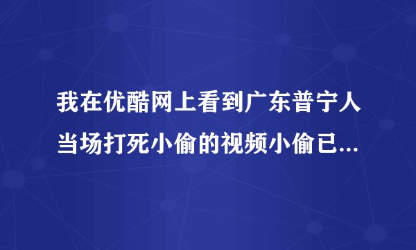 我在优酷网上看到广东普宁人当场打死小偷的视频小偷已打死，死者的两个哥哥去认领尸体也被当场打死，这是