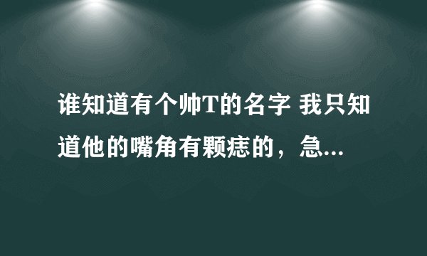 谁知道有个帅T的名字 我只知道他的嘴角有颗痣的，急急急急~~~