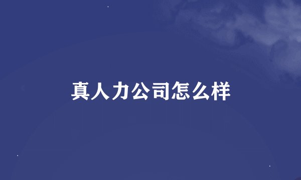 真人力公司怎么样