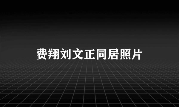费翔刘文正同居照片