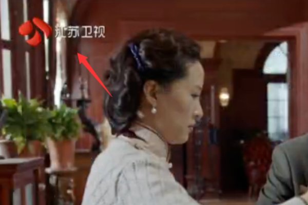 江苏卫视哪个台可以看回放