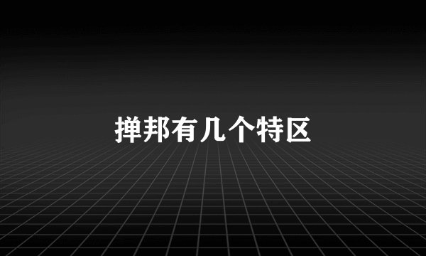 掸邦有几个特区