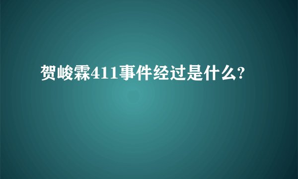 贺峻霖411事件经过是什么?