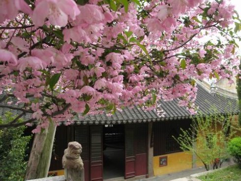 马丁圣詹姆斯的经典作品