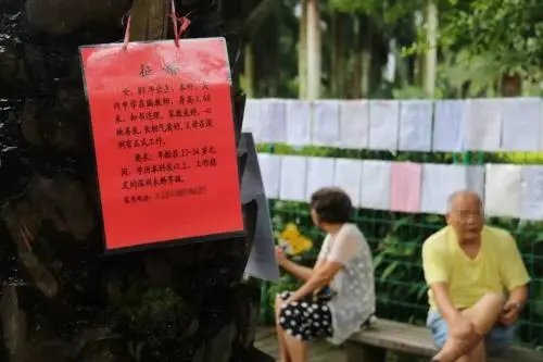 “三无男孩”大受欢迎，为何比博士生更吃香？