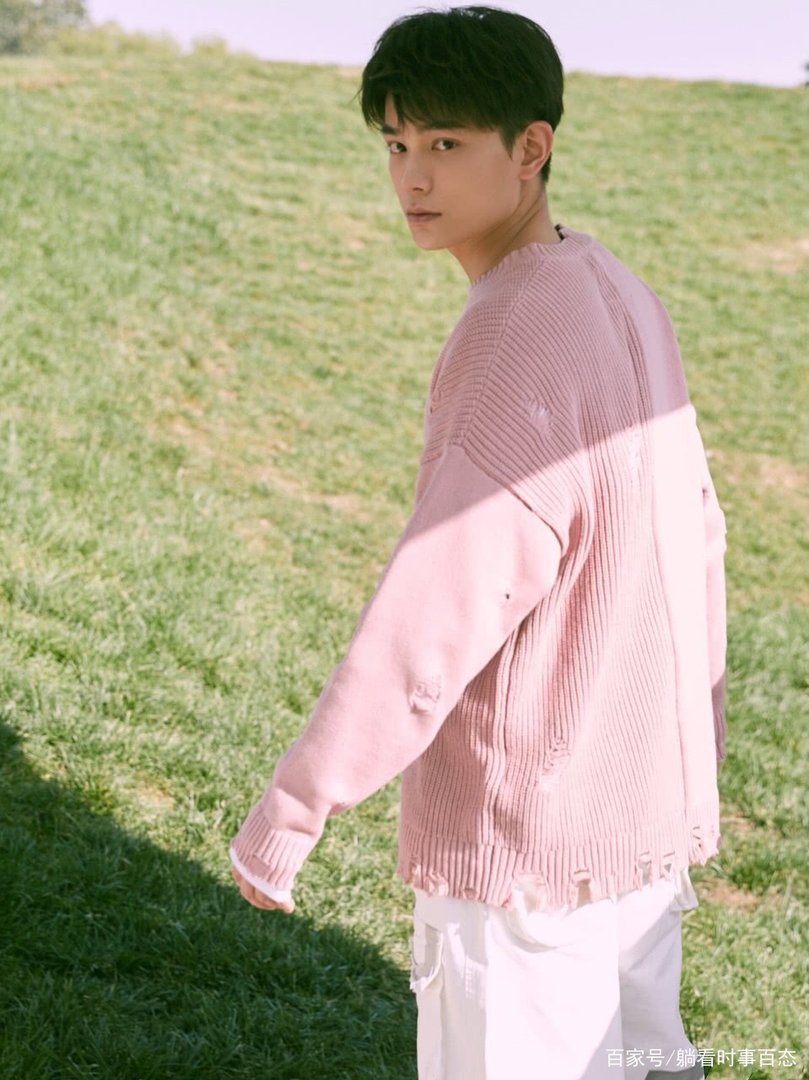 丁禹兮做了什么事情口碑暴跌？