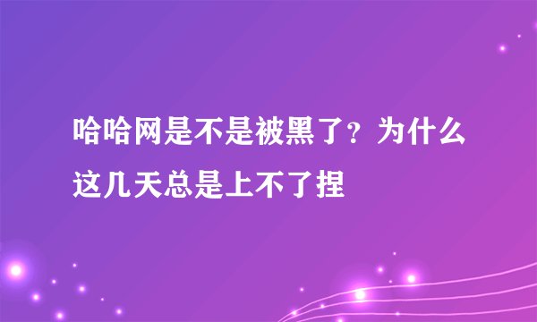 哈哈网是不是被黑了？为什么这几天总是上不了捏