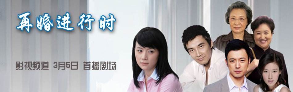 再婚进行曲的介绍
