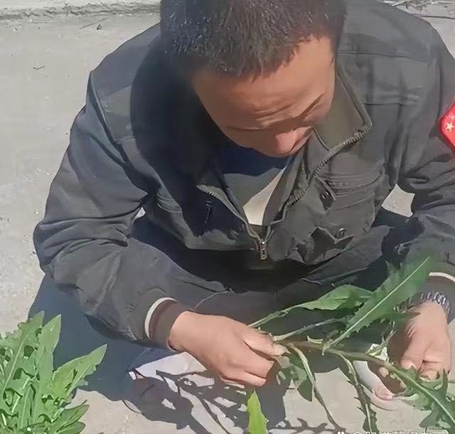 货车司机被困上海12天，靠吃土豆等着回家的日子，他们为何回不去？