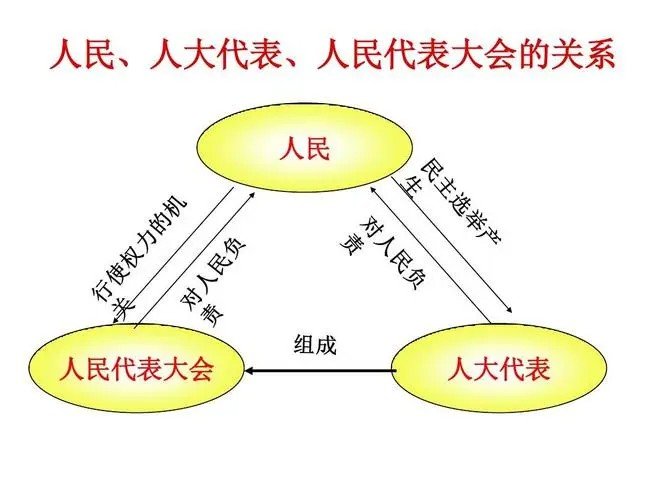 村委会是中国人民代表大会制度的组织基础是否正确