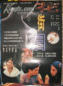 花街泪的介绍