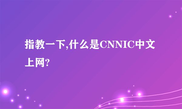 指教一下,什么是CNNIC中文上网?