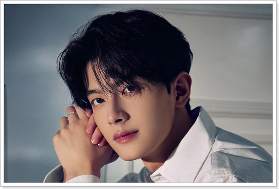 男网红排名前十