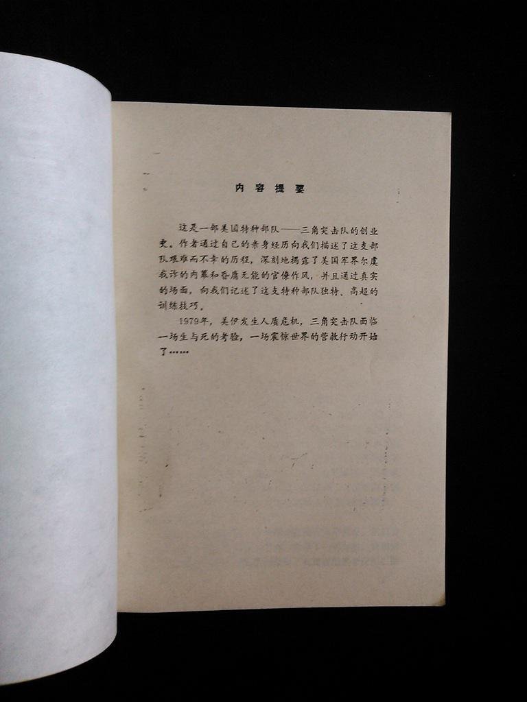 三角突击队的介绍