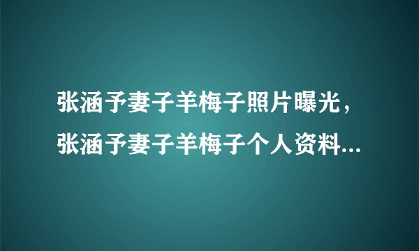 张涵予妻子羊梅子照片曝光，张涵予妻子羊梅子个人资料以及谁是女儿