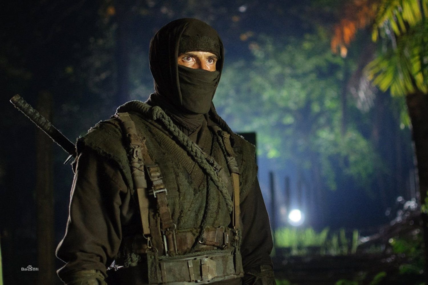 忍者2：泪影的介绍