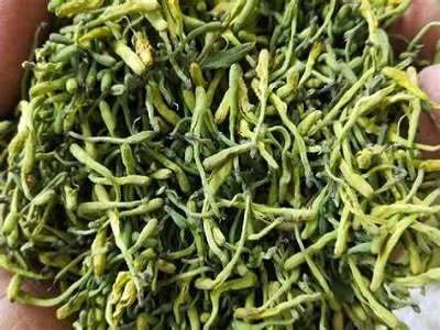 窗前江水泛春色(打一中草药名)