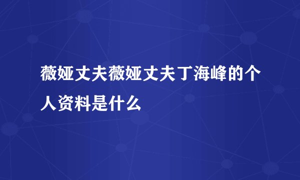 薇娅丈夫薇娅丈夫丁海峰的个人资料是什么