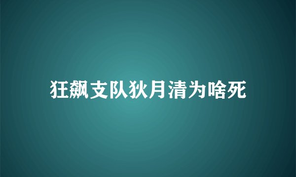 狂飙支队狄月清为啥死