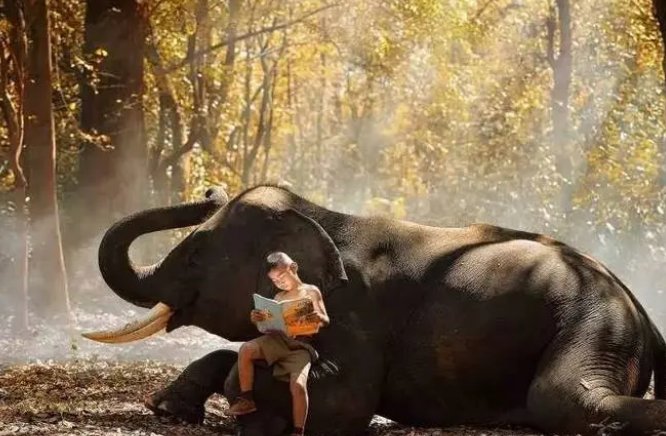 人文艺术仁汾英文是多少?