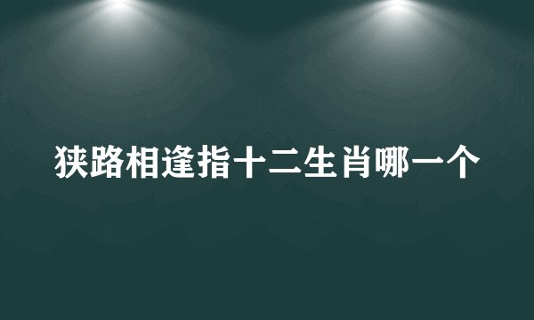 狭路相逢指十二生肖哪一个