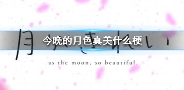 今晚月色很好什么梗