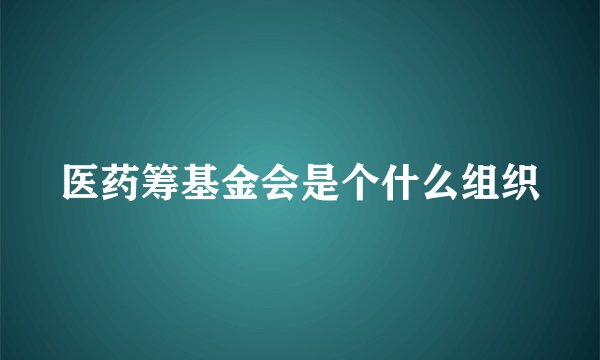 医药筹基金会是个什么组织