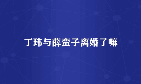 丁玮与薛蛮子离婚了嘛