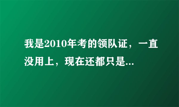 我是2010年考的领队证，一直没用上，现在还都只是资格证，也就没有所谓的年审等。