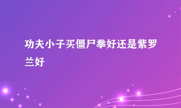 功夫小子买僵尸拳好还是紫罗兰好