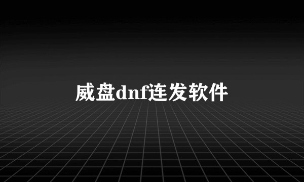 威盘dnf连发软件