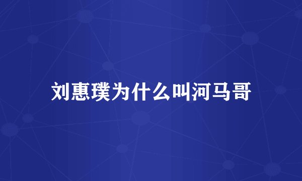 刘惠璞为什么叫河马哥