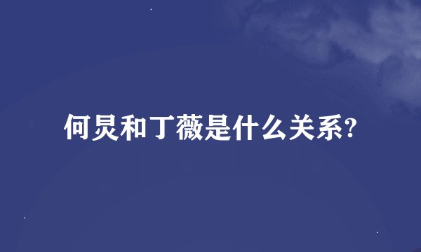 何炅和丁薇是什么关系?