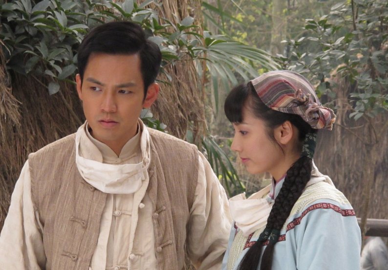 菩提树下电视剧剧情介绍