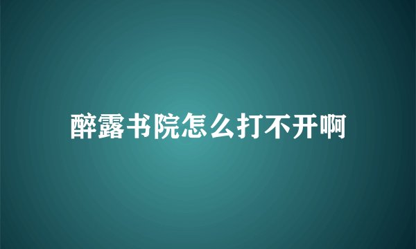 醉露书院怎么打不开啊