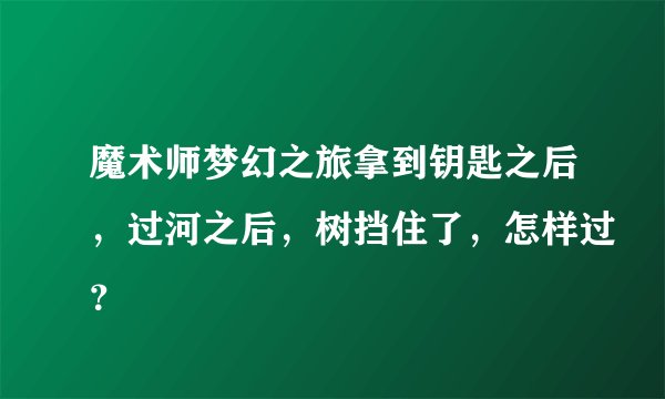 魔术师梦幻之旅拿到钥匙之后，过河之后，树挡住了，怎样过？