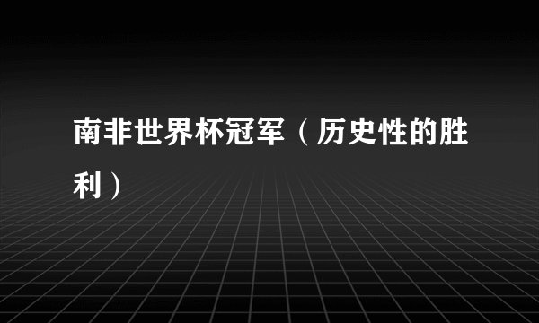 南非世界杯冠军（历史性的胜利）
