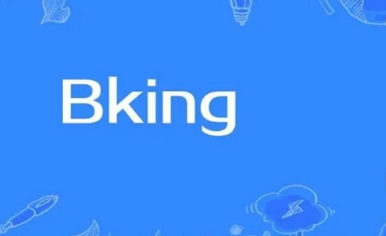 bking是什么意思网络语言